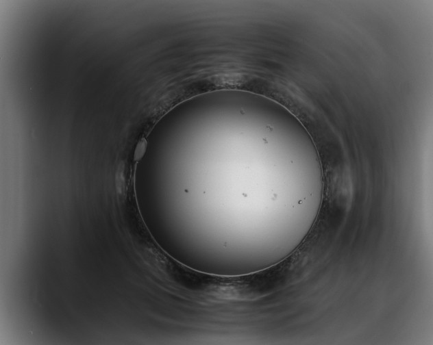 X0000088460655200705291531