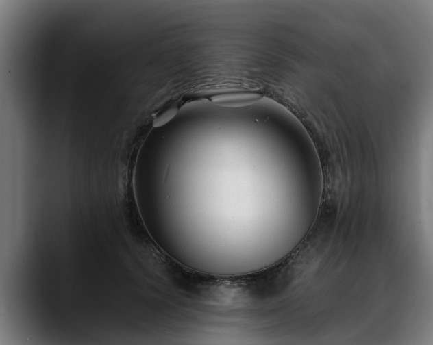 X0000088460656200705291531