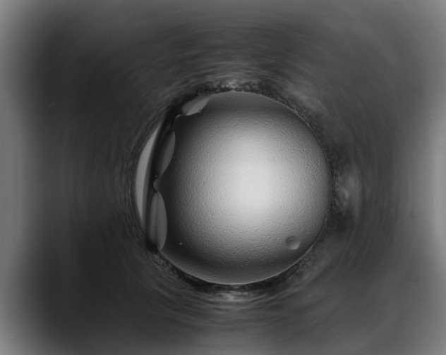 X0000088460657200705291531