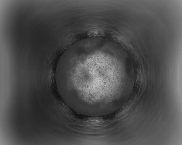 X0000088460659200705291531