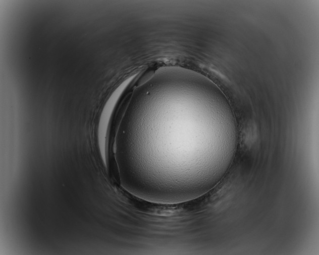 X0000088460661200705291531