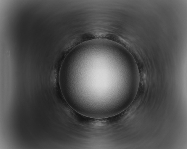 X0000088460664200705291531