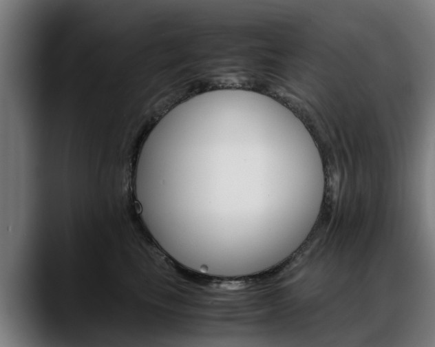 X0000088460665200705291531