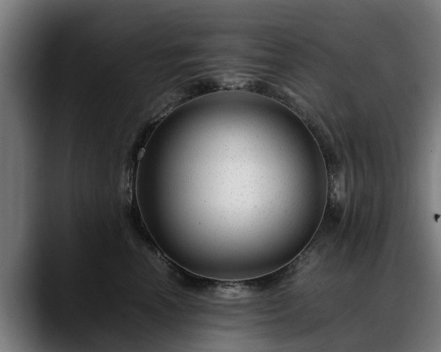 X0000088460666200705291531