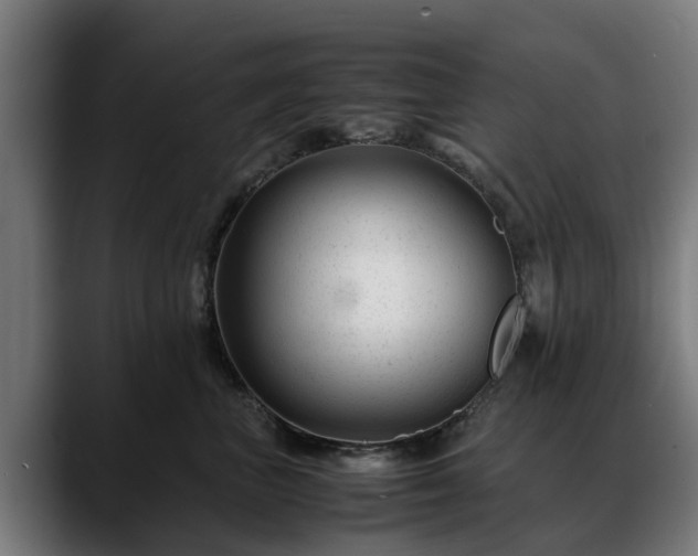 X0000088460667200705291531