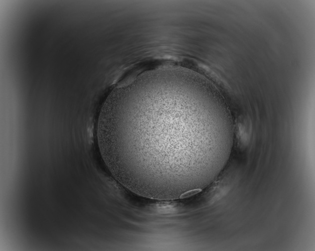 X0000088460668200705291531