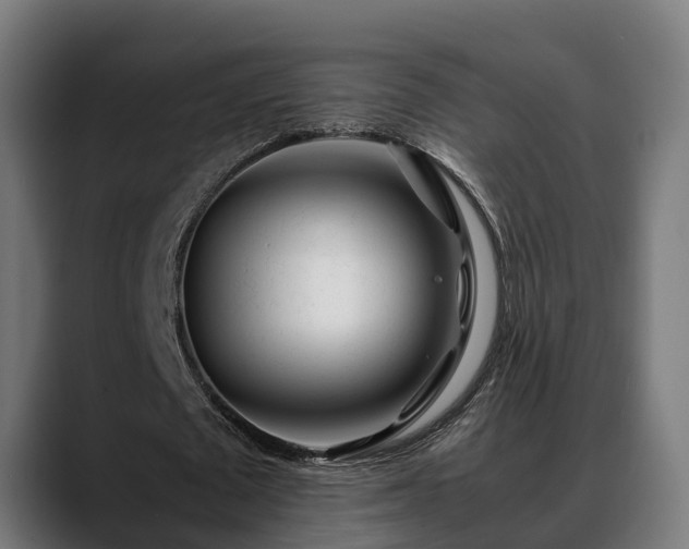 X0000088460673200705291531