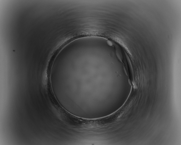 X0000088460674200705291531