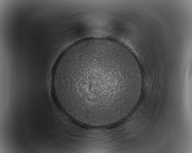 X0000088460679200705291531