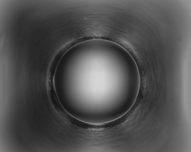 X0000088460680200705291531