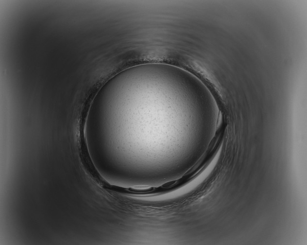 X0000088460681200705291531