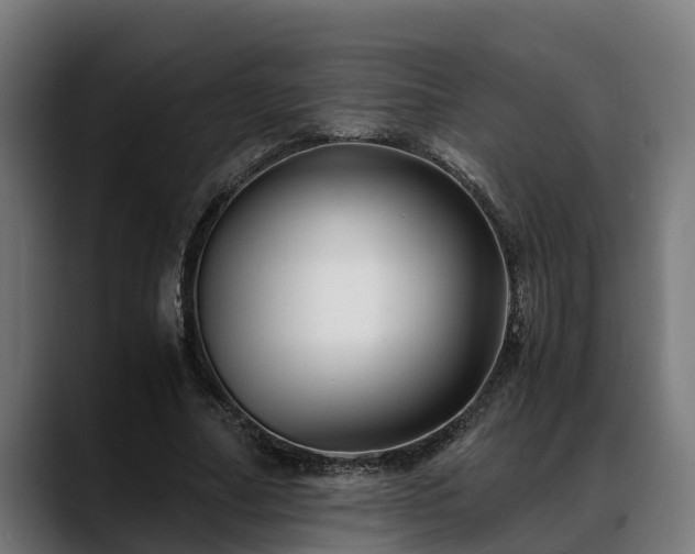 X0000088460682200705291531