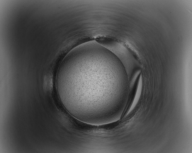 X0000088460685200705291531