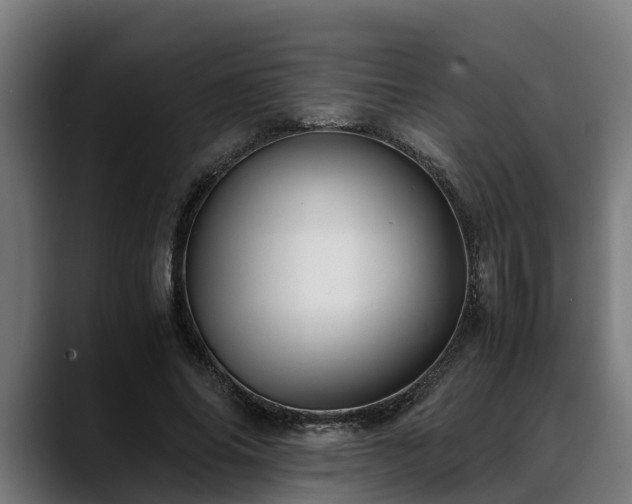 X0000088460686200705291531