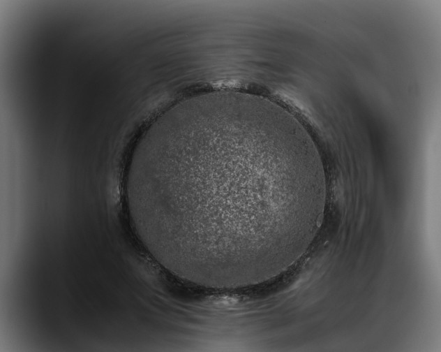 X0000088460687200705291531