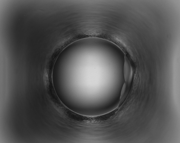 X0000088460688200705291531