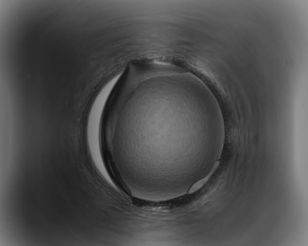 X0000088460689200705291531