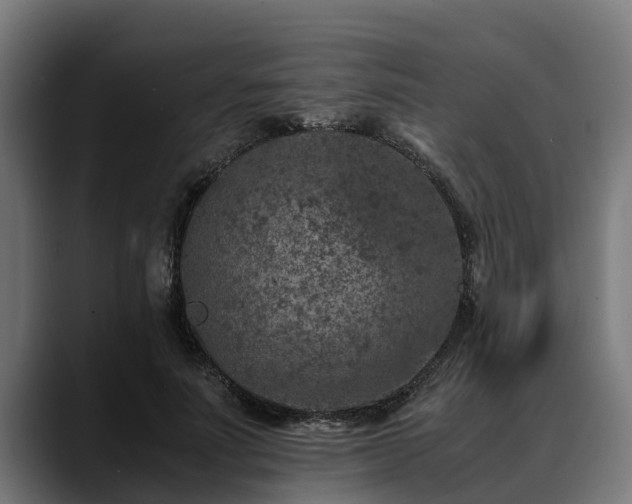 X0000088460691200705291531