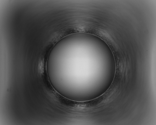 X0000088460694200705291531