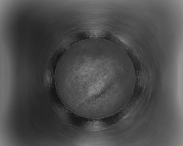 X0000088460695200705291531