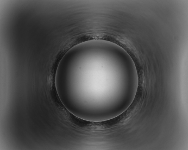 X0000088460697200705291531