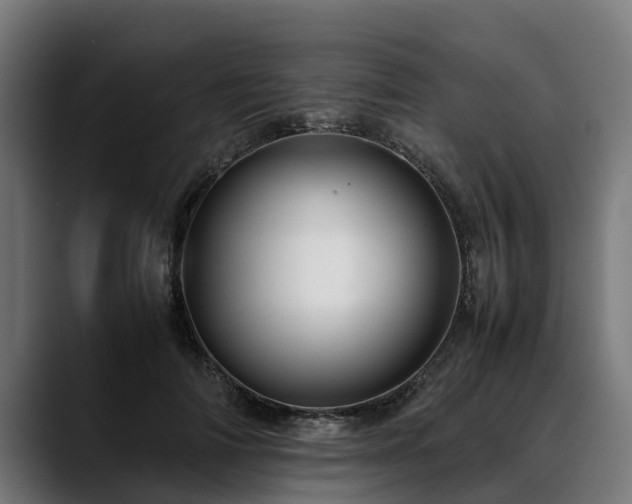 X0000088460698200705291531