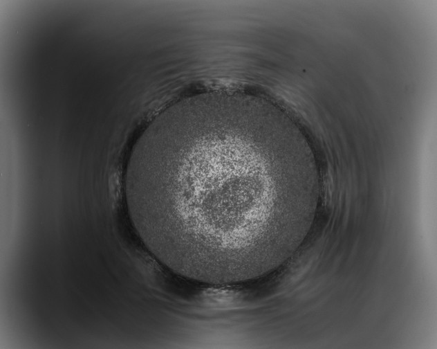 X0000088460699200705291531