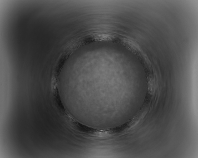 X0000088460701200705291530