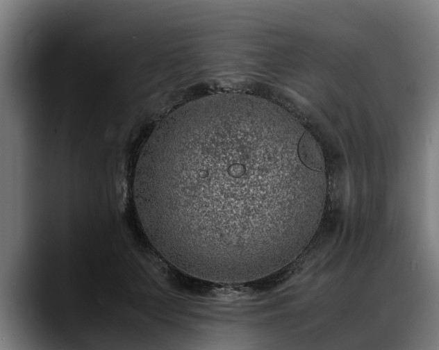 X0000088460703200705291530