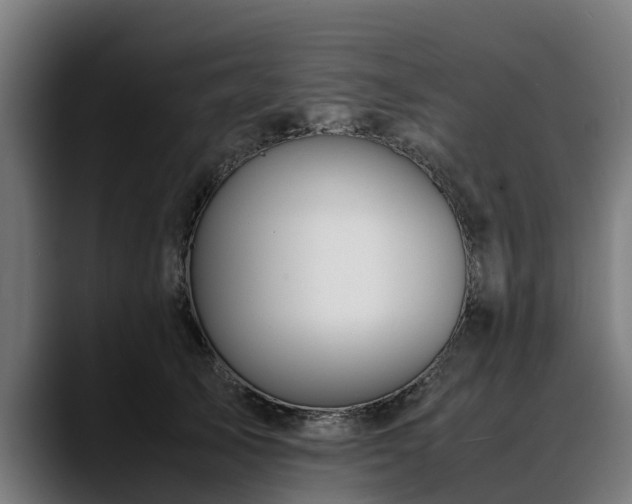 X0000088460705200705291530