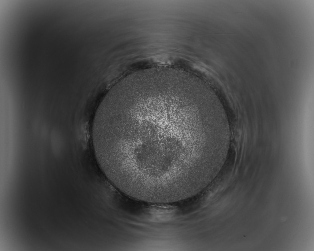 X0000088460707200705291530