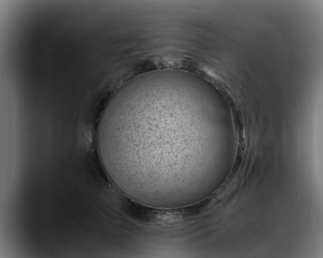 X0000088460709200705291530