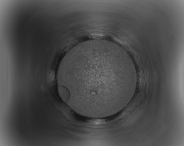 X0000088460711200705291530