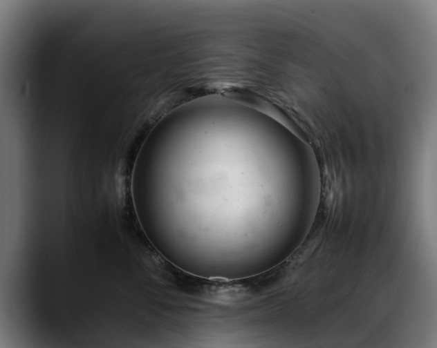 X0000088460716200705291530