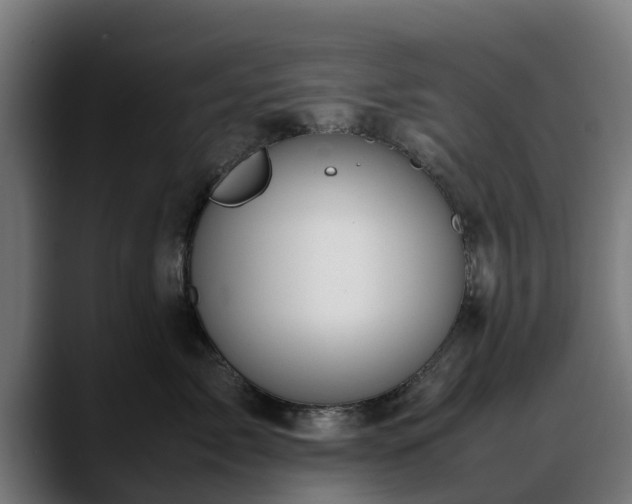 X0000088460717200705291530