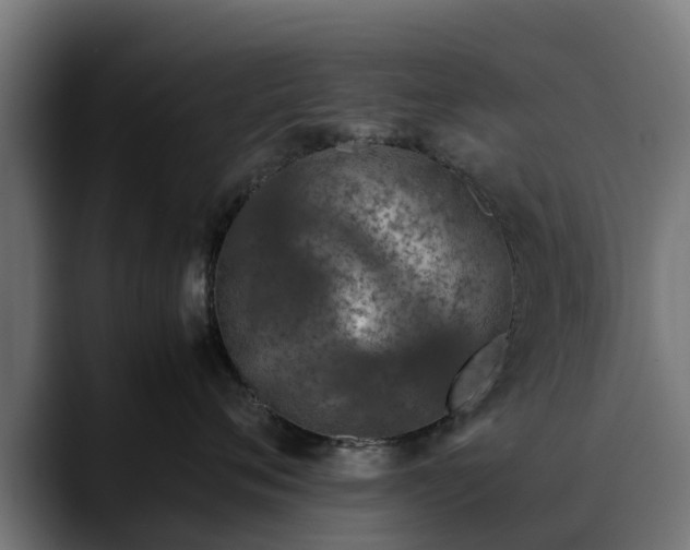 X0000088460720200705291530