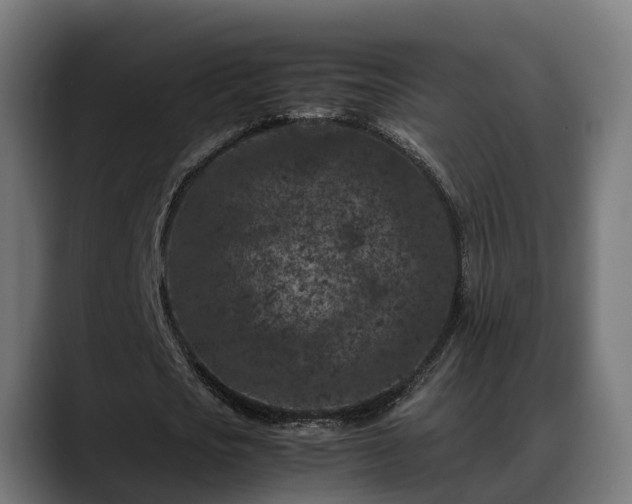 X0000088460721200705291530