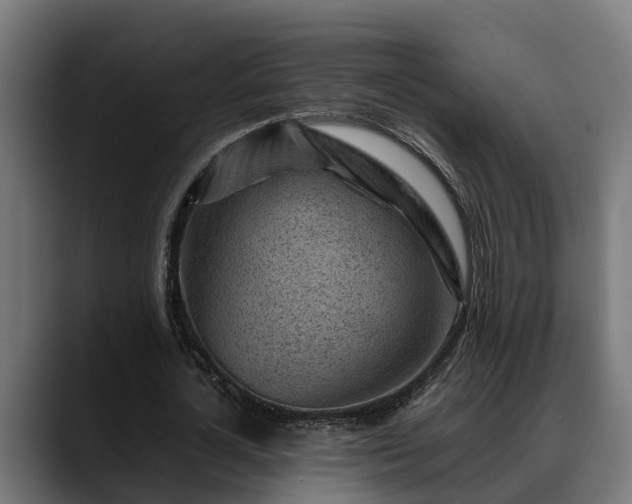 X0000088460724200705291530