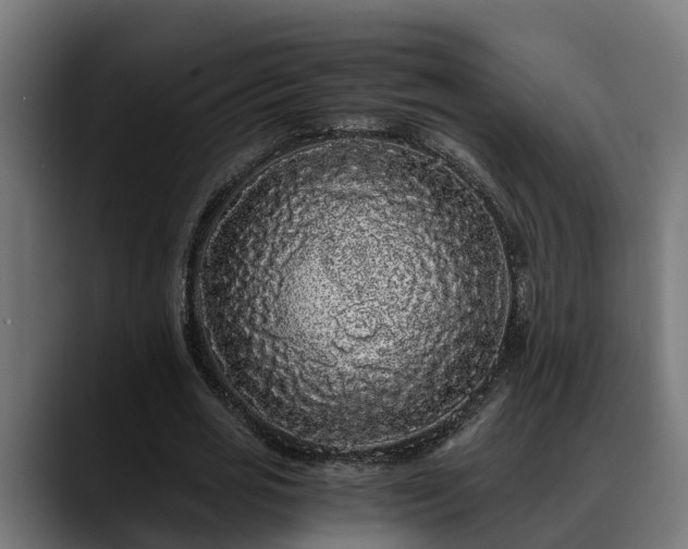 X0000088460725200705291530