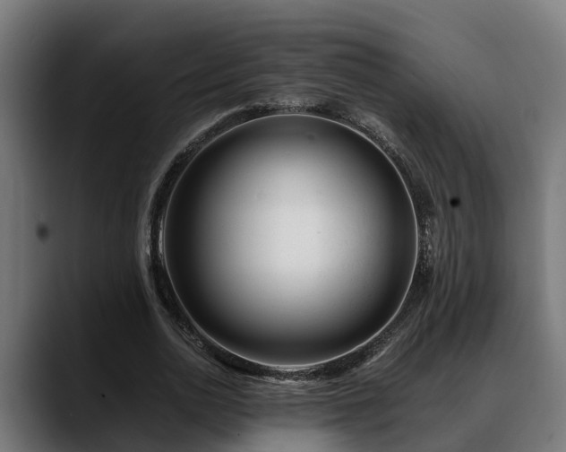 X0000088460726200705291530