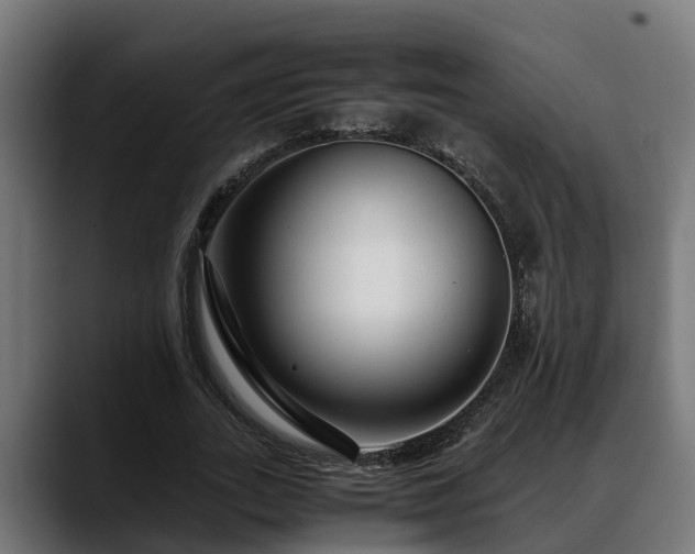 X0000088460727200705291530