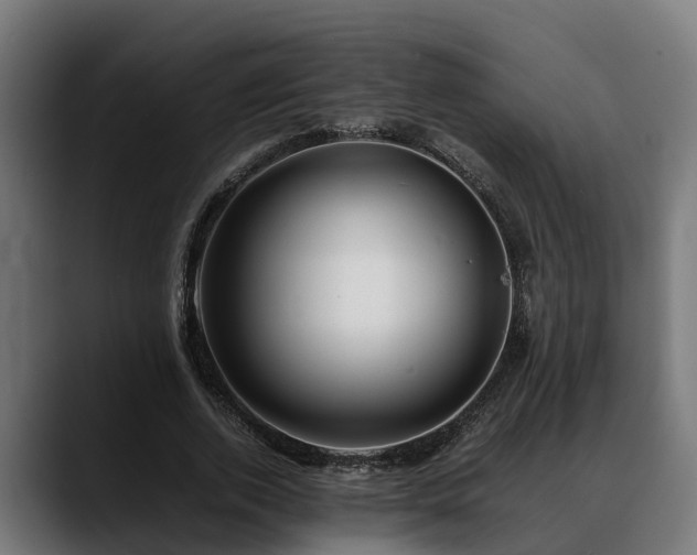 X0000088460728200705291530