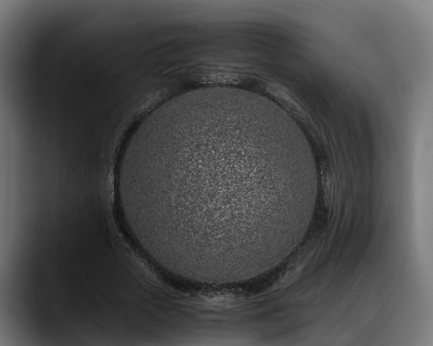 X0000088460729200705291530