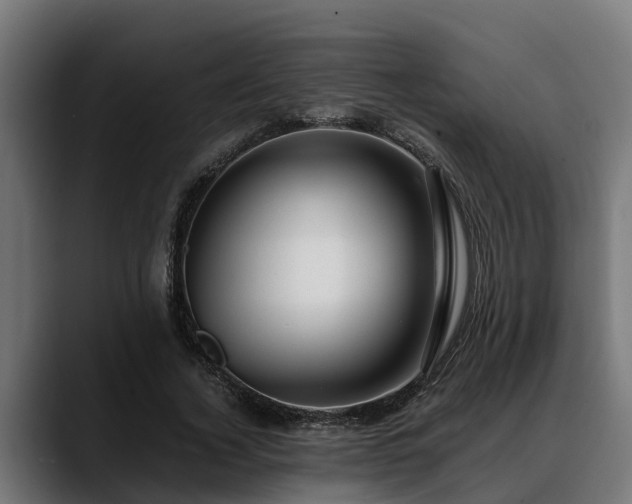 X0000088460732200705291530