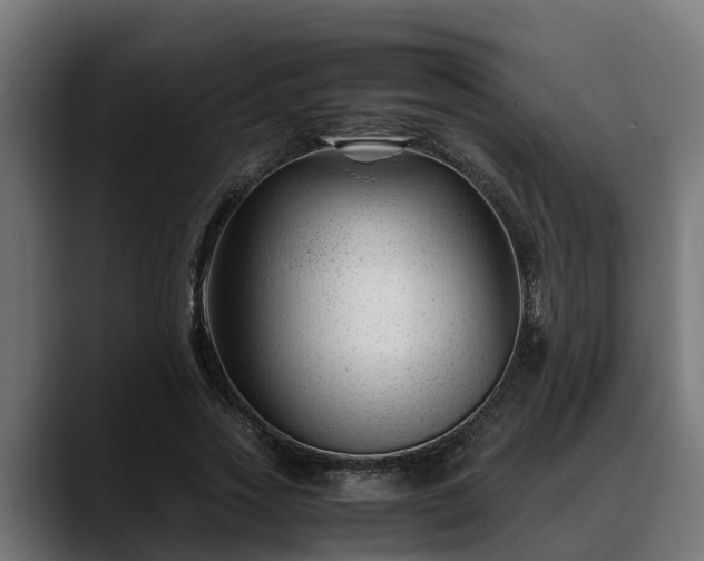 X0000088460733200705291530