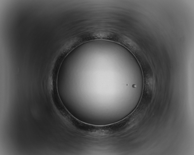 X0000088460734200705291530