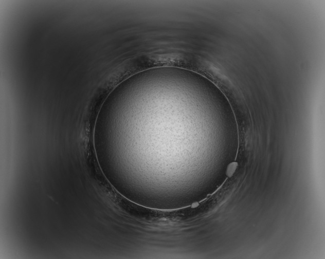 X0000088460737200705291530