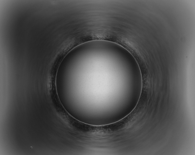 X0000088460738200705291530