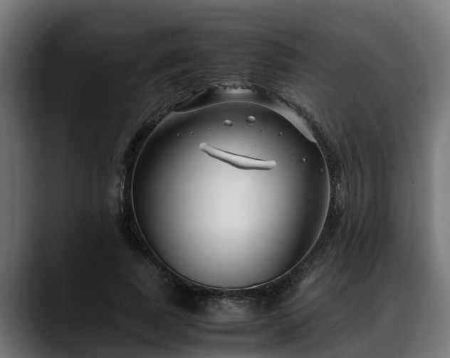 X0000088460739200705291530