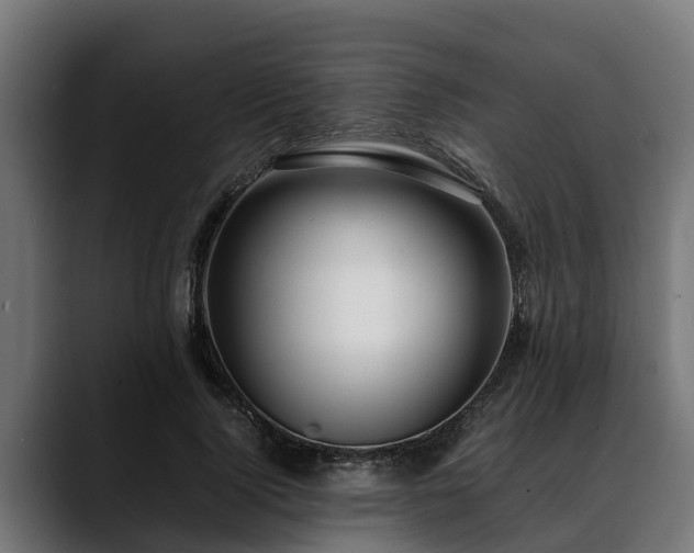 X0000088460740200705291530